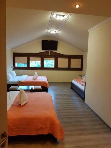 Фото номера Семейный люкс Мотели Motel Ana Maria Magdalena г. Lipova 17