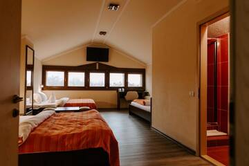 Фото номера Семейный люкс Мотели Motel Ana Maria Magdalena г. Lipova 13